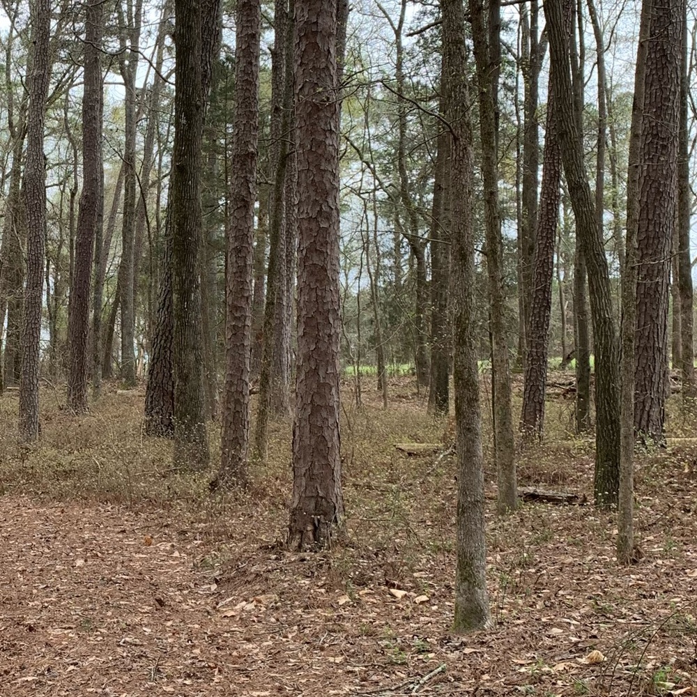 Meet your Posher, Lora